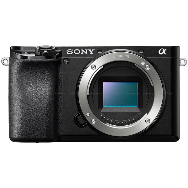 Sony a6100 Mirrorless Camera