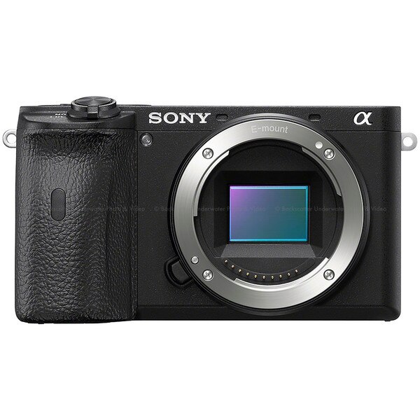 the best mirrorless camera for video