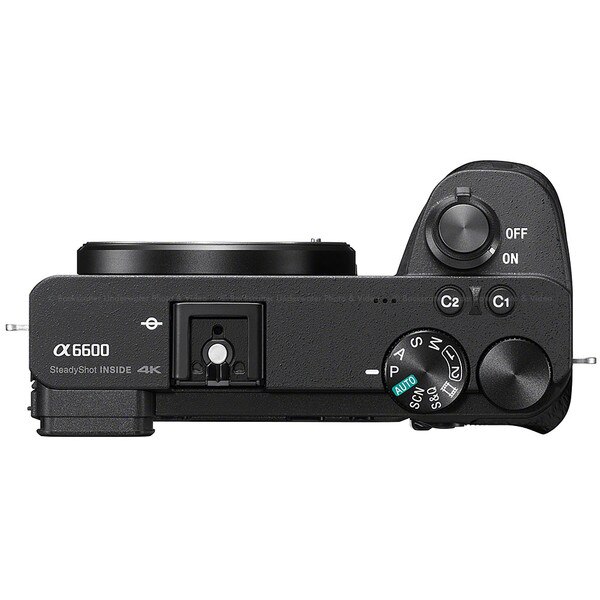 Sony a6600 Mirrorless Camera