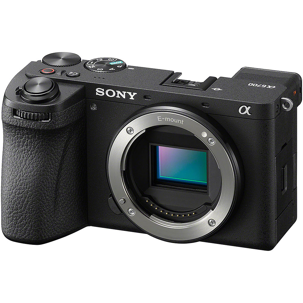 Sony store mirrorless camera