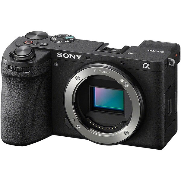 Sony's Mirrorless Cameras