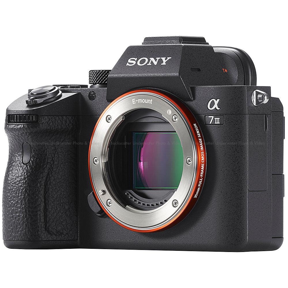 sony full frame mirrorless camera sony full frame mirrorless camera