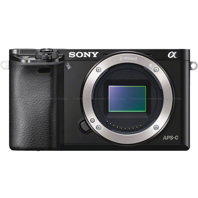 Sony a6000 Mirrorless Camera