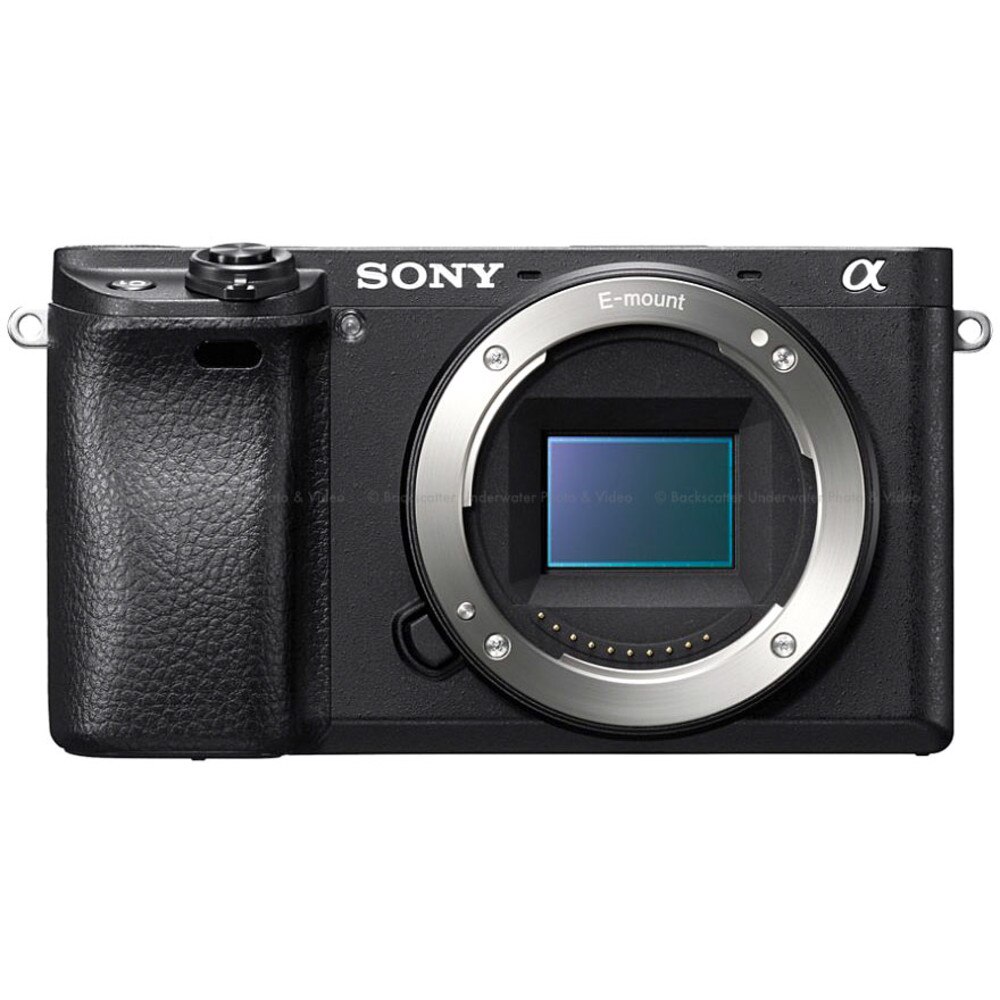 Sony a6300 Mirrorless Camera Body