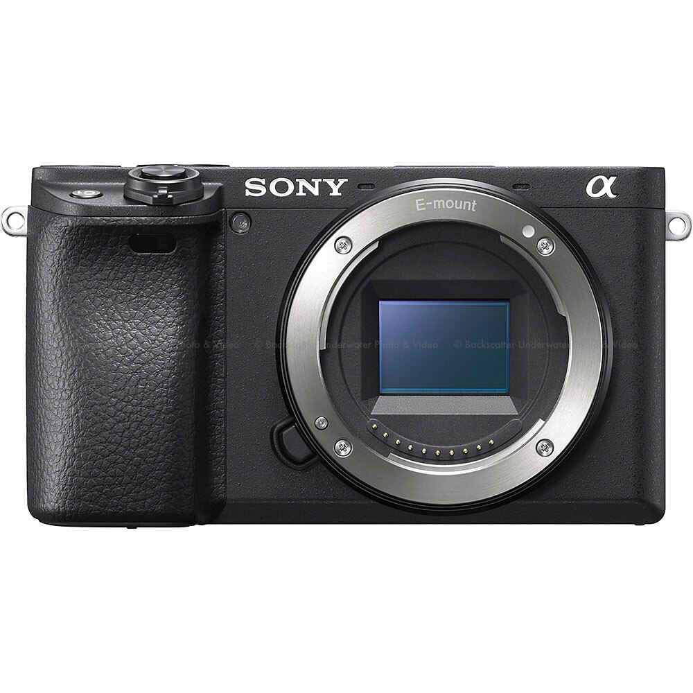 Sony a6400 Mirrorless Camera