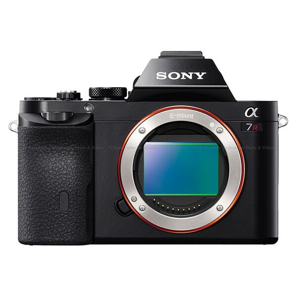 Sony's Mirrorless Cameras