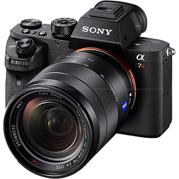 The Sony Alpha 7R II: a top-notch camera with full-frame sensor for use in  microscopy