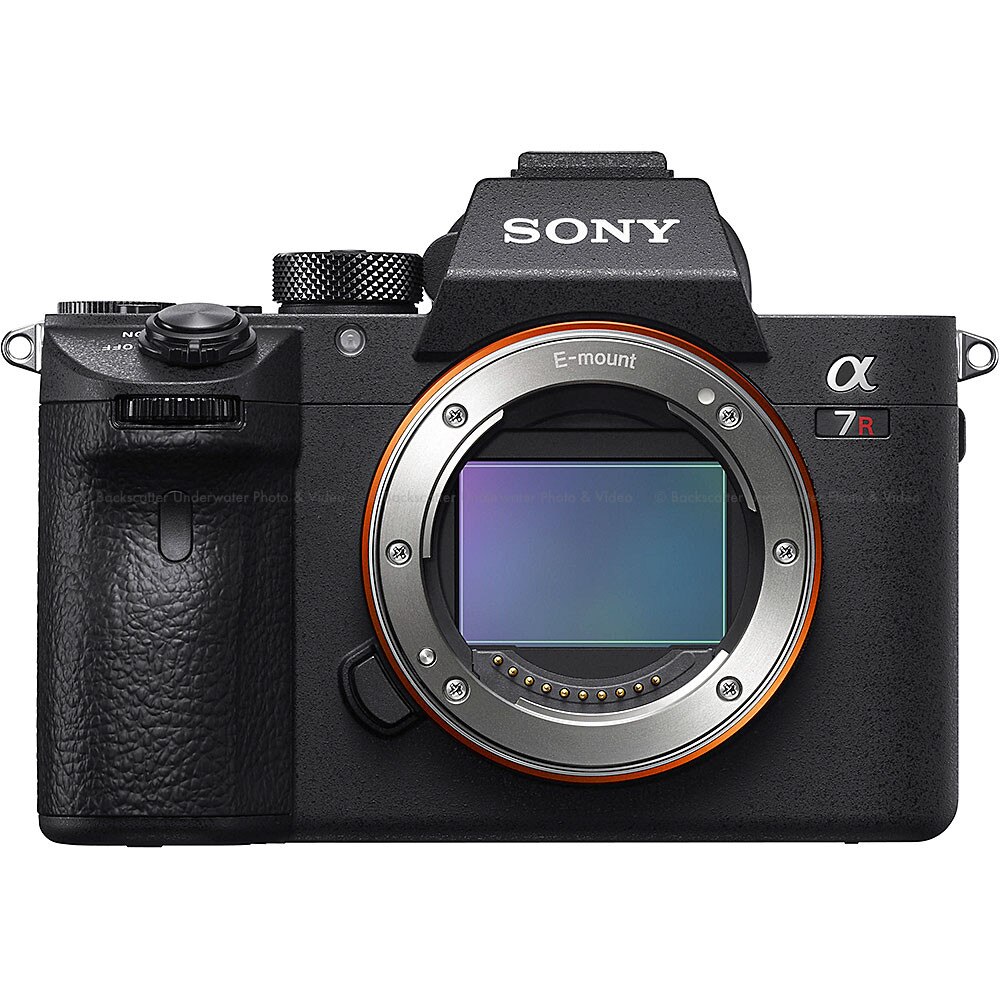 Sony a7R III Full Frame Mirrorless Camera Body