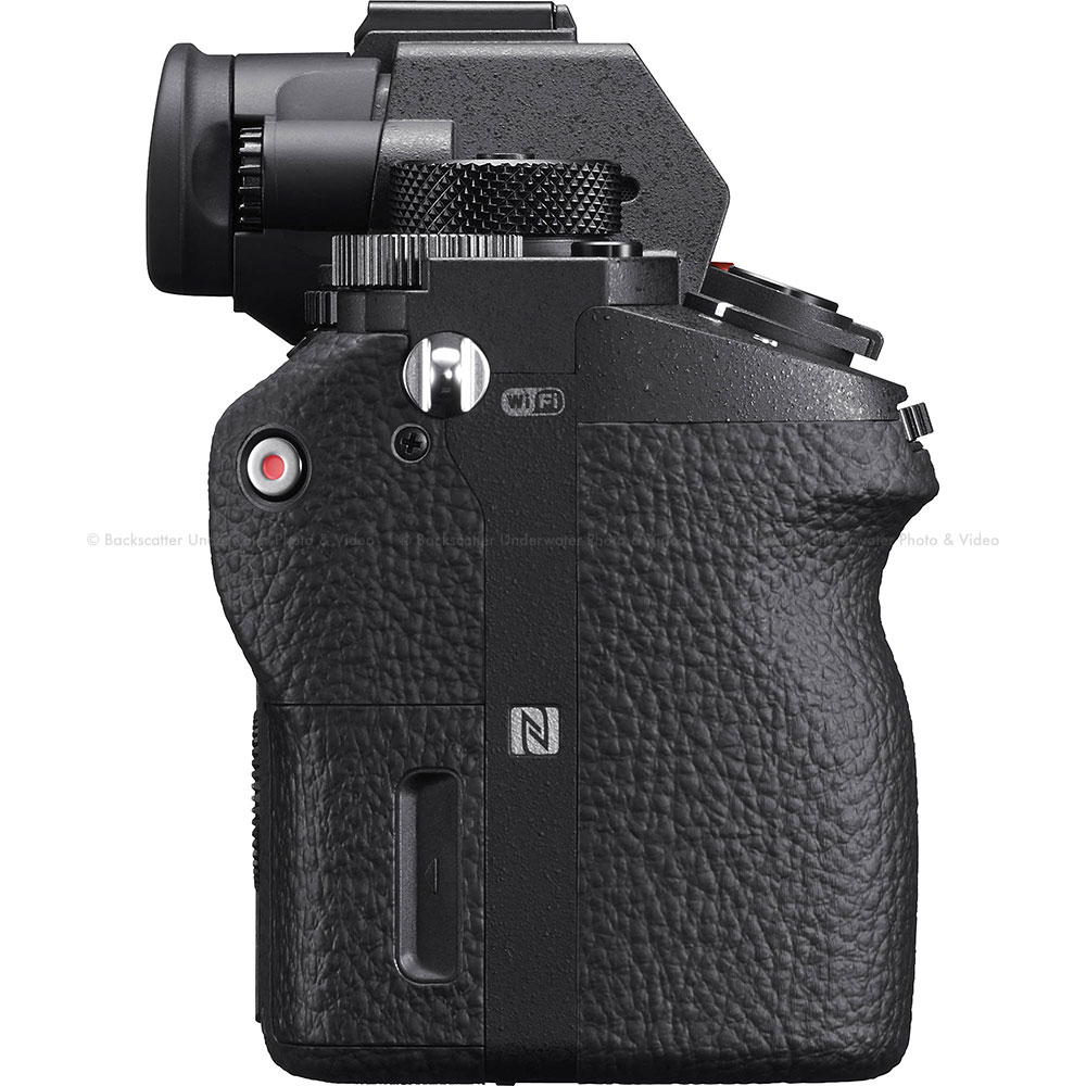 Sony a7S II Full-Frame Mirrorless Camera - Backscatter