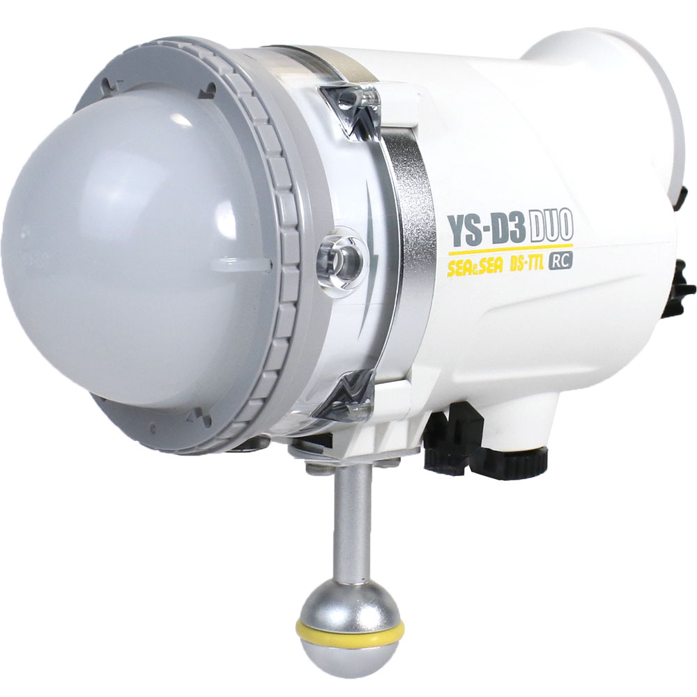 ss-16950_back.jpg