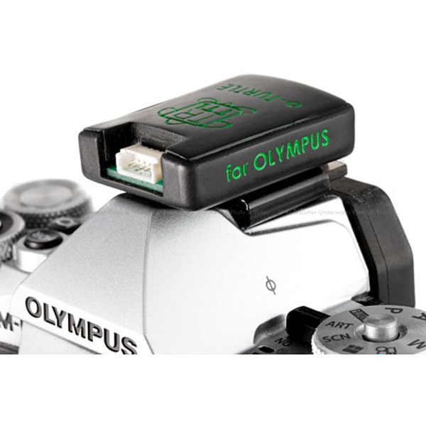 TRT TTL o-TURTLE adapter for Olympus Mirrorless systems