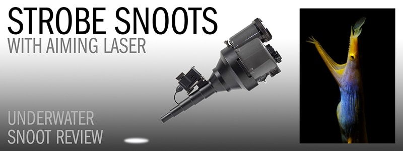 10Bar Strobe Snoots - Underwater Snoot Review