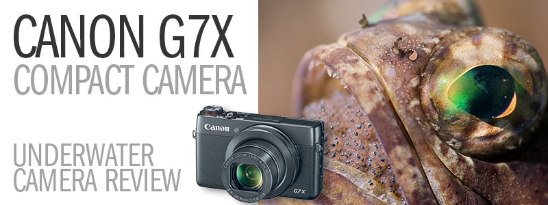 Canon Powershot G7X Compact Camera Underwater Review