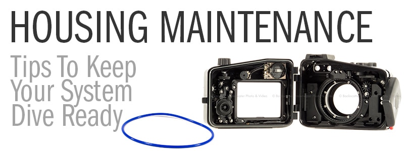 Underwater Camera Housing Maintenance – Tips to keep your investment safe and running...