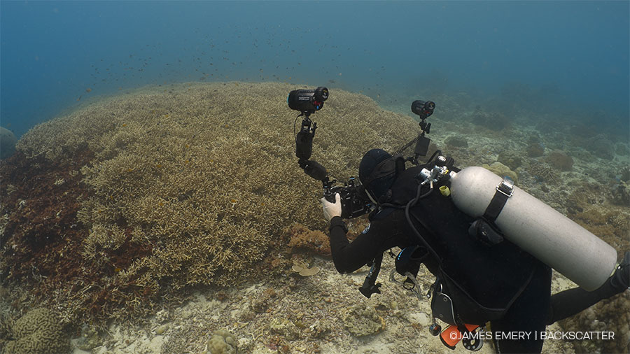 ©Jim Decker - Backscatter Atom Flash Underwater Strobe Review - 4500 shallow shot with