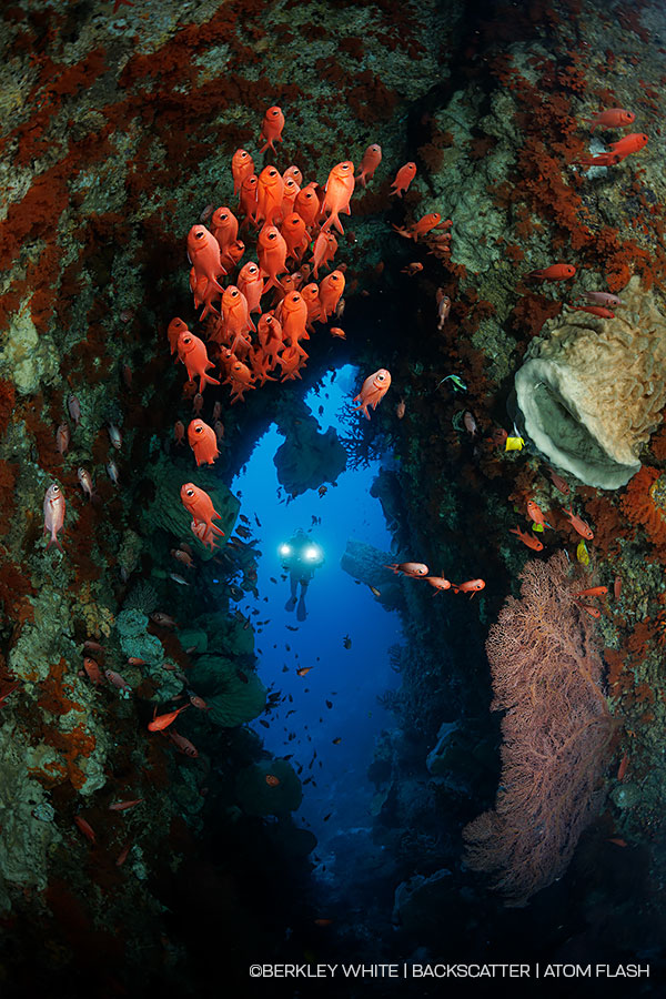 ©Backscatter - Backscatter Atom Flash Underwater Strobe Review - Sunset split shot