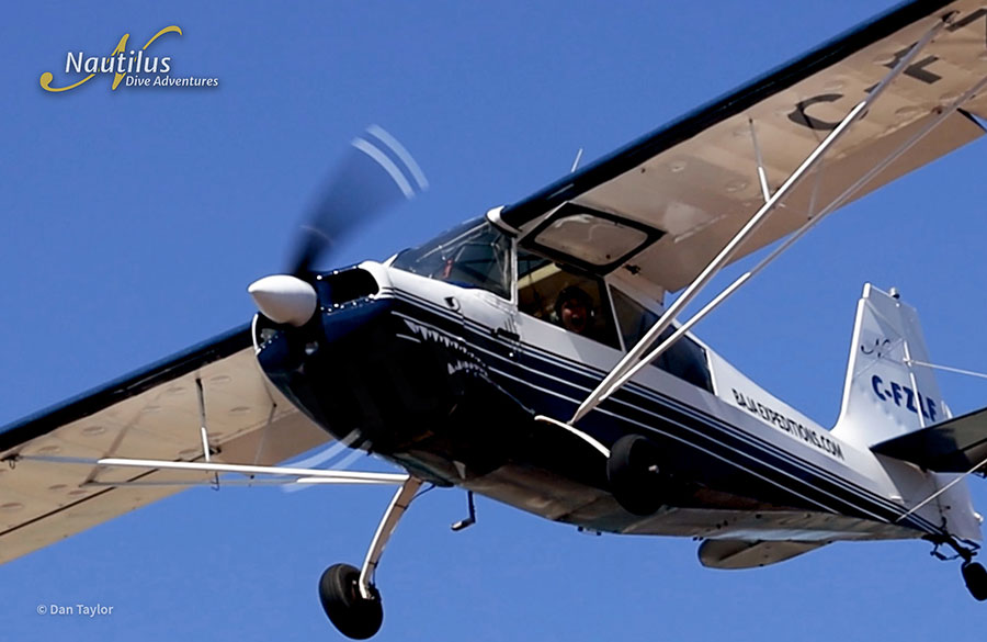©Dan Taylor - Mobulas & Orcas Sea of Cortez Mexico, Nautilus Galant Lady with Aerial Support - Plane Support