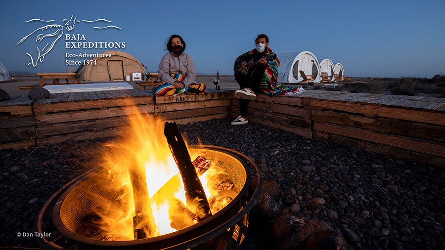 Baja Mexico Gray Whale Trip - Dan Taylor - Campfire