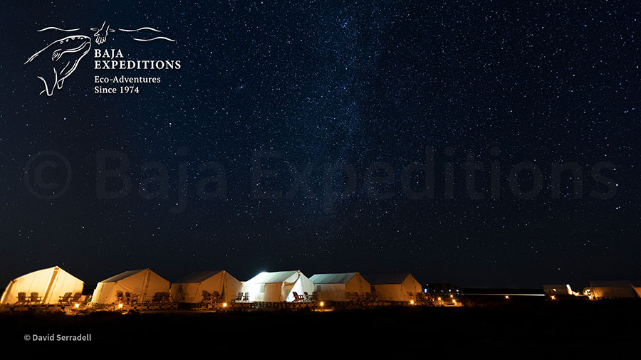Baja Mexico Gray Whale Trip - David Serradell - Tents at Night