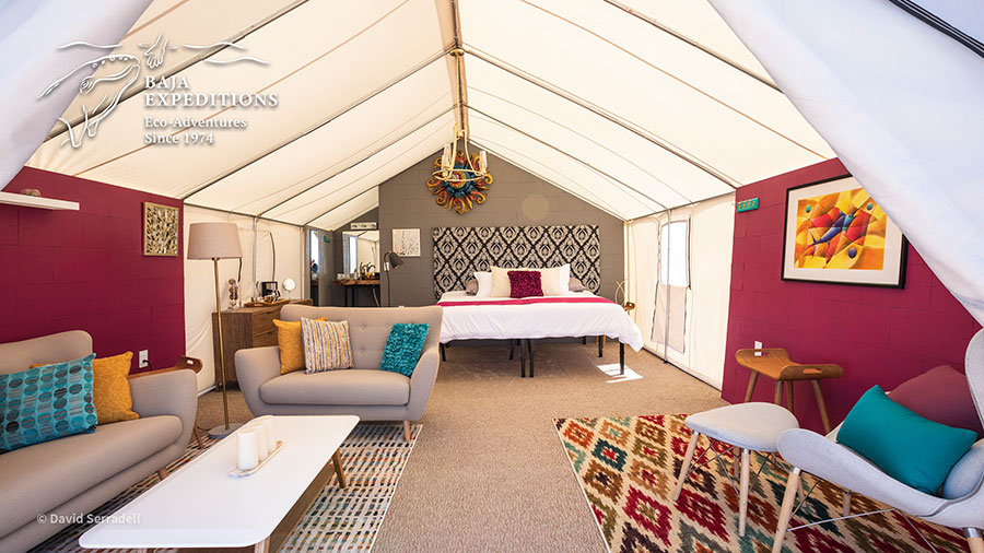 Baja Mexico Gray Whale Trip - Open Tents Inside