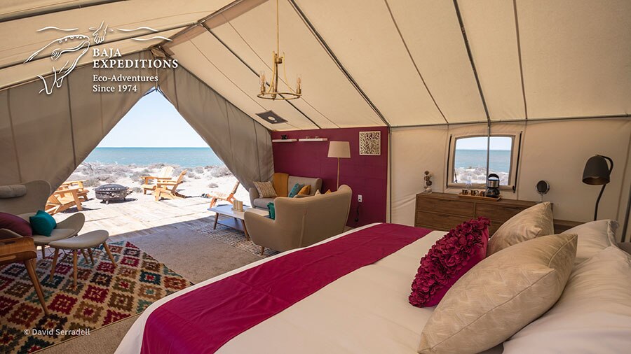 Baja Mexico Gray Whale Trip - Open Tents
