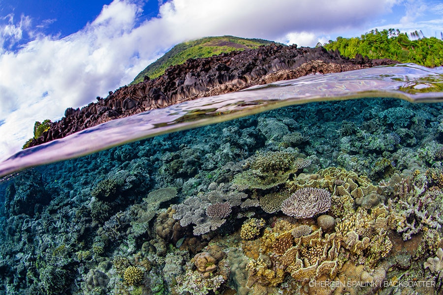 Alor & Banda Sea Indonesia – Samambaia - subculturetravel 026