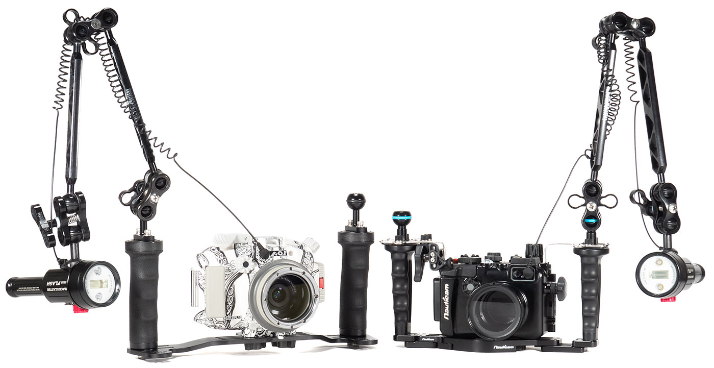 mirrorless 2021
