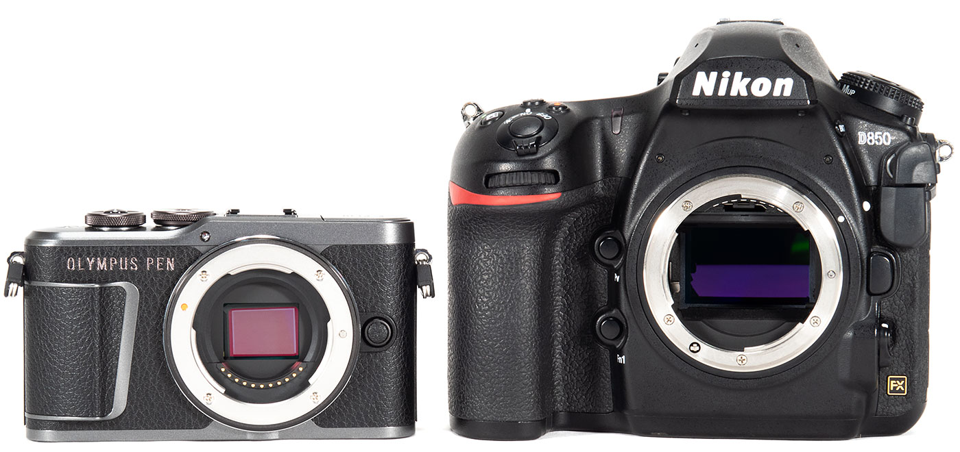Best Underwater Cameras of 2024 Mirrorless Cameras Underwater