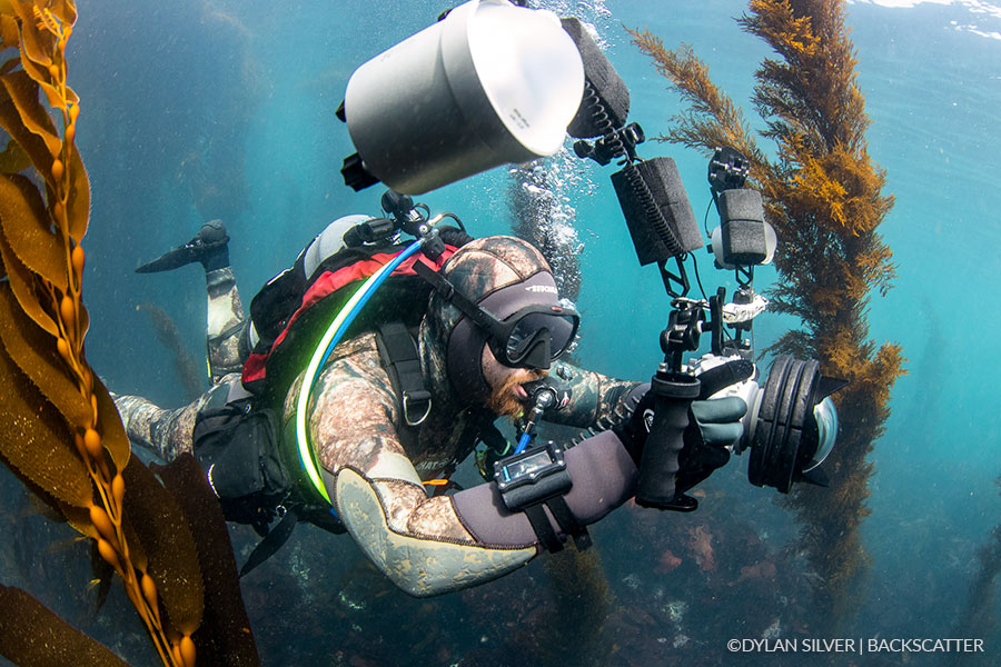 Best Underwater Lighting of 2024: Strobes & Flashes - Underwater