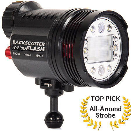 Best Underwater Lighting of 2024 Strobes Flashes Underwater Photography Backscatter