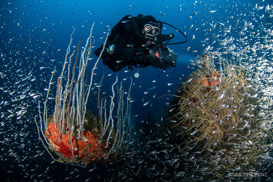 ©Simon Lorenz - Bikini Atoll - Pacific Master - Diver