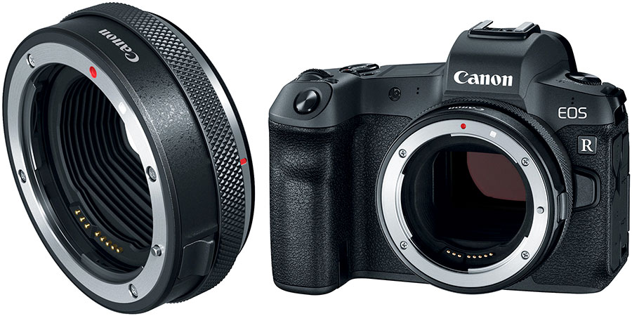 Canon EOS R Underwater Camera Review - Underwater