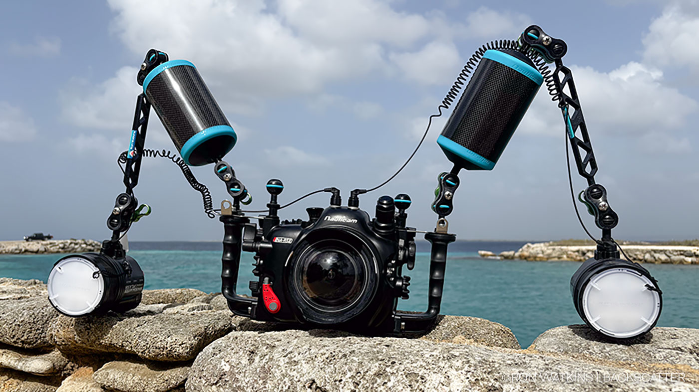 Pro Photographer's First Dives with a Mirrorless Camera - Underwater ...