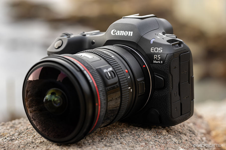 Eos R5 Canon Cameras Eos R5