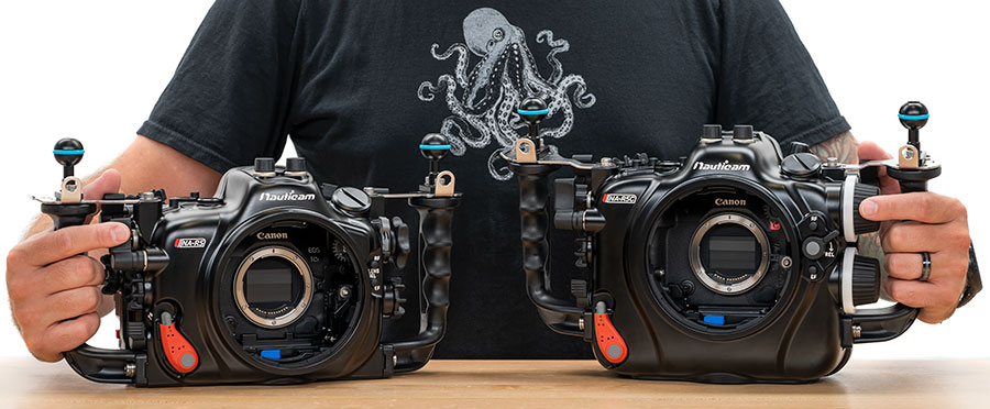 Canon R5C VS R5 Fan Image Canon R5C VS R5 Fan Image