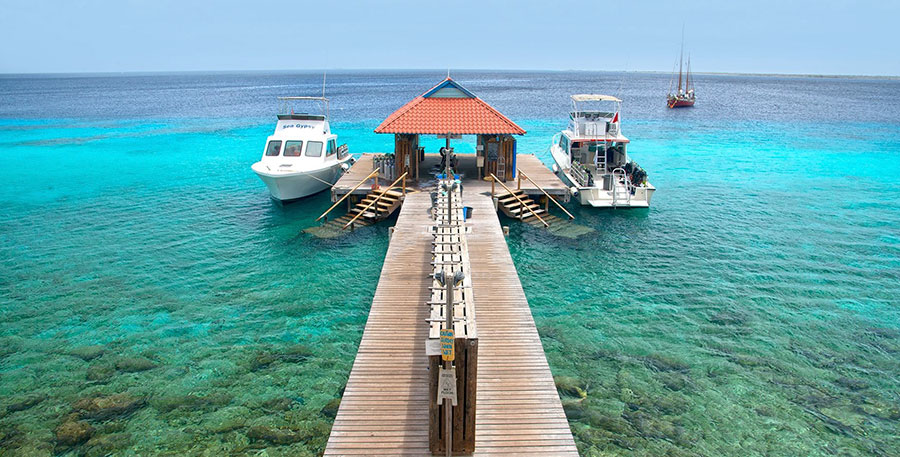 bonaire divi3