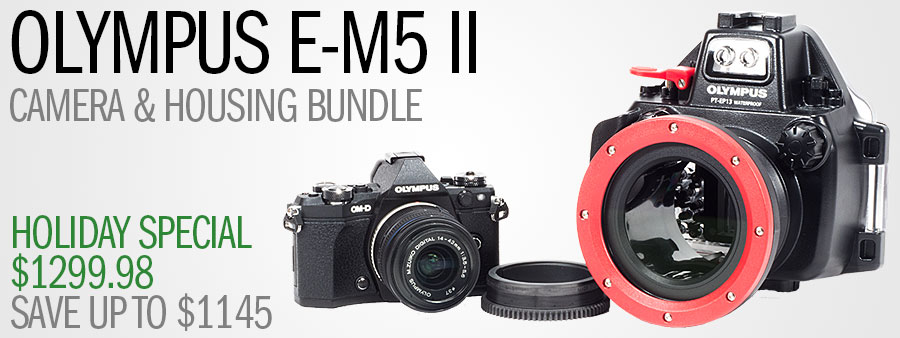 Olympus E-M5 Mark II Underwater Camera Review - Underwater