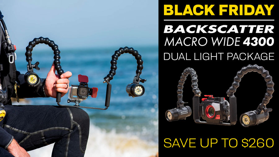 BACKSCATTER MACRO WIDE 4300 DUAL VIDEO LIGHT PACKAGE Banner