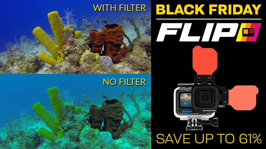 Flip Filters FLIP10+ & FLIP7 Underwater Filters for GoPro HERO 3, 3+, 4, 5, 6, 7, 8, 9, 10, 11