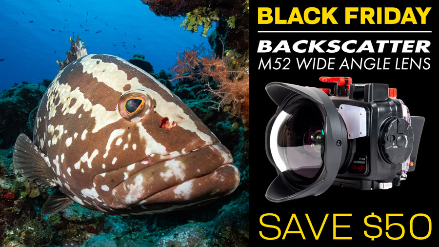 Backscatter M52 Underwater Wide Angle Wet Lens