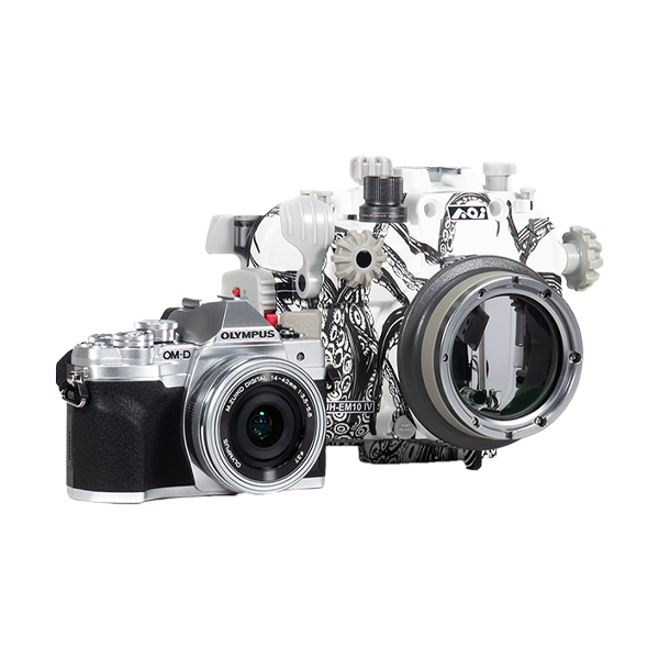 Olympus OM-D E-M10 IV Underwater Camera & Housing Review