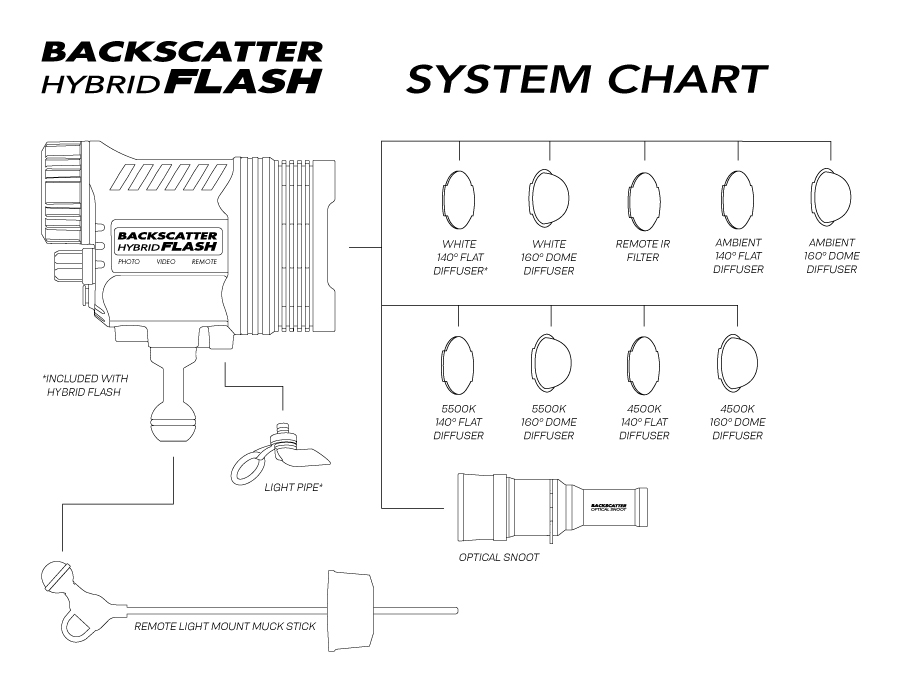 Backscattery Hybrid Flash System Chart