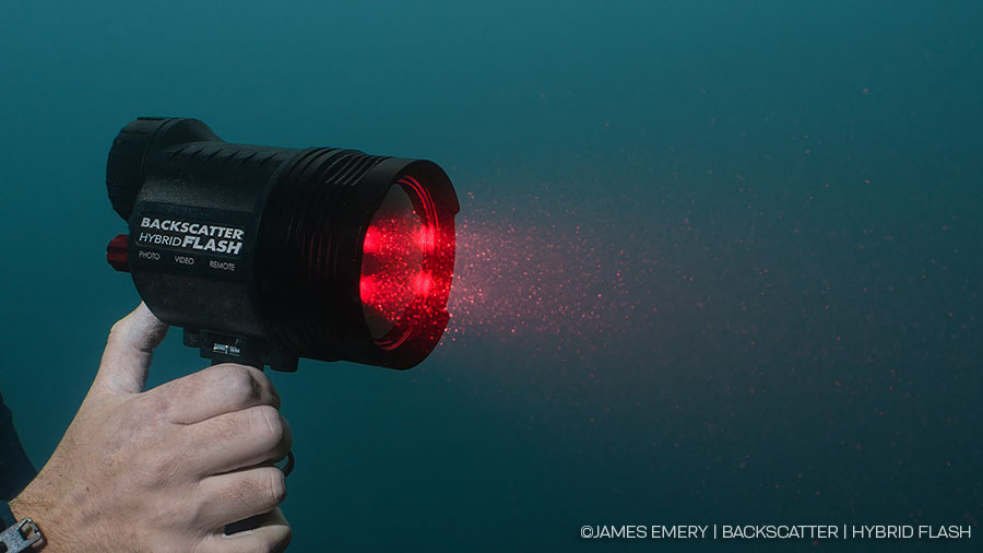 ©Jim Decker - Backscatter Hybrid Flash Underwater Strobe & Video Light Review - Red Light