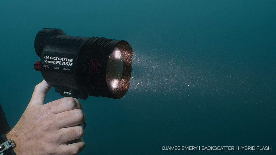 ©Jim Decker - Backscatter Hybrid Flash Underwater Strobe & Video Light Review - Spot Light