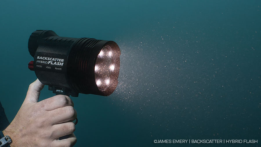 ©Jim Decker - Backscatter Hybrid Flash Underwater Strobe & Video Light Review - White Light