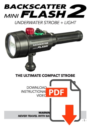 Backscatter Mini Flash 2 MF-2 User Manual PDF