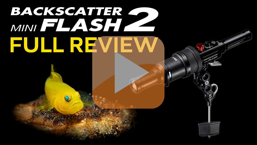 Backscatter Mini Flash 2 Underwater Strobe Review VIDEO