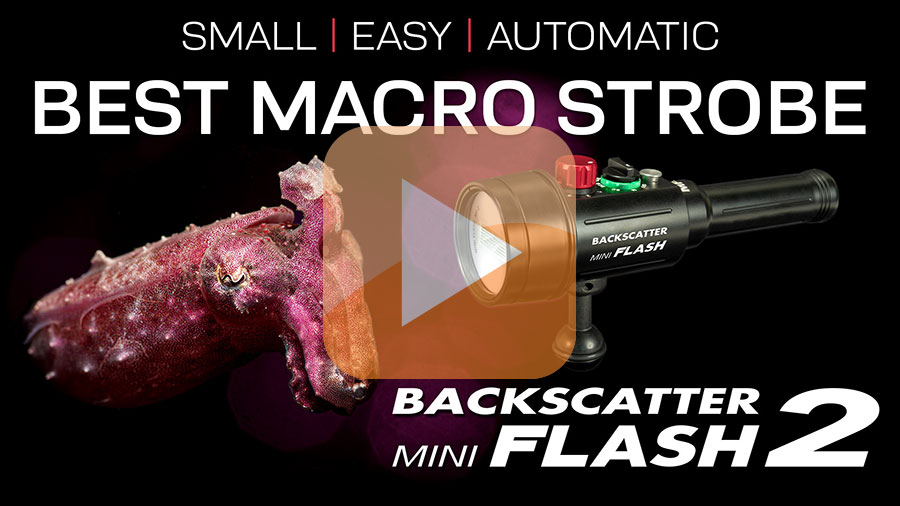 Backscatter Mini Flash 2 Underwater Strobe Review PROMO VIDEO