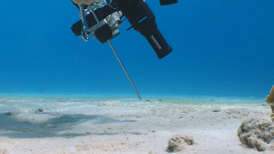 Backscatter Mini Flash 2 Underwater Strobe Review - Using Remotr Lighting Gif