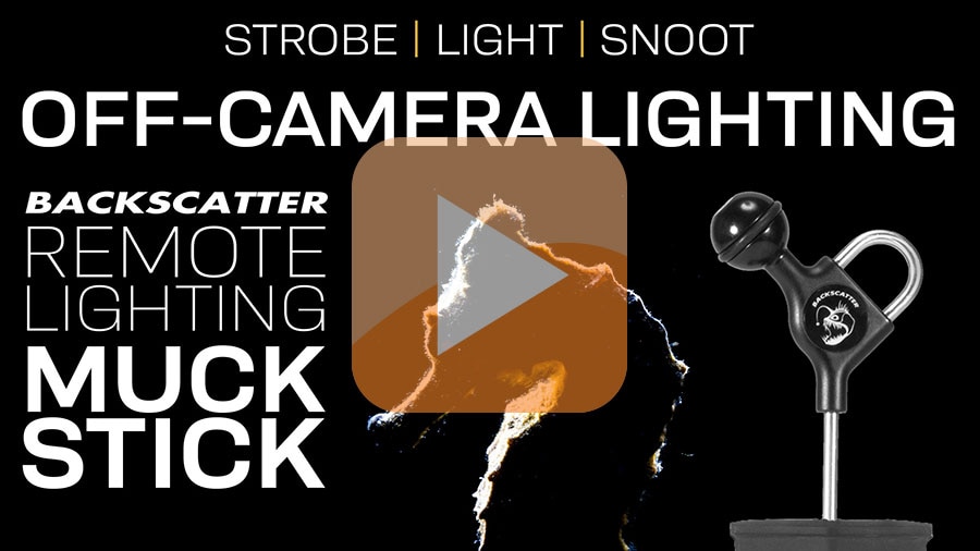 Backscatter Mini Flash 2 Underwater Strobe Review Remote Lighting Muck Stick VIDEO